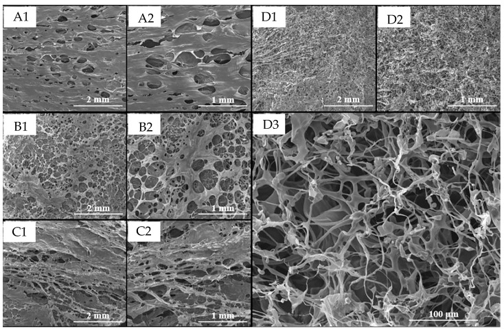 PMC11989451 – ijms-26-03428-f003