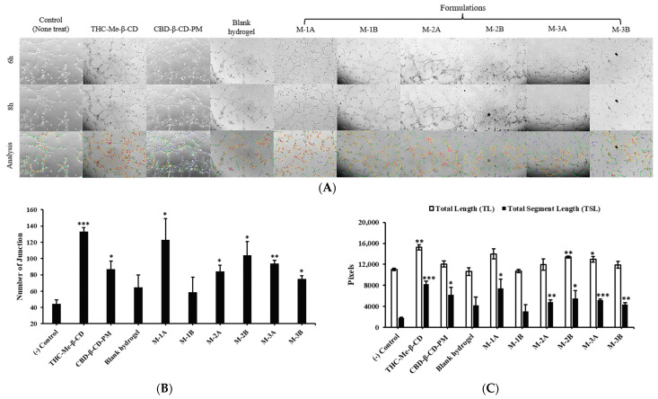 PMC11989451 – ijms-26-03428-f006