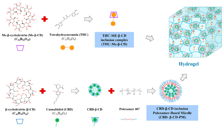 PMC11989451 – ijms-26-03428-f007