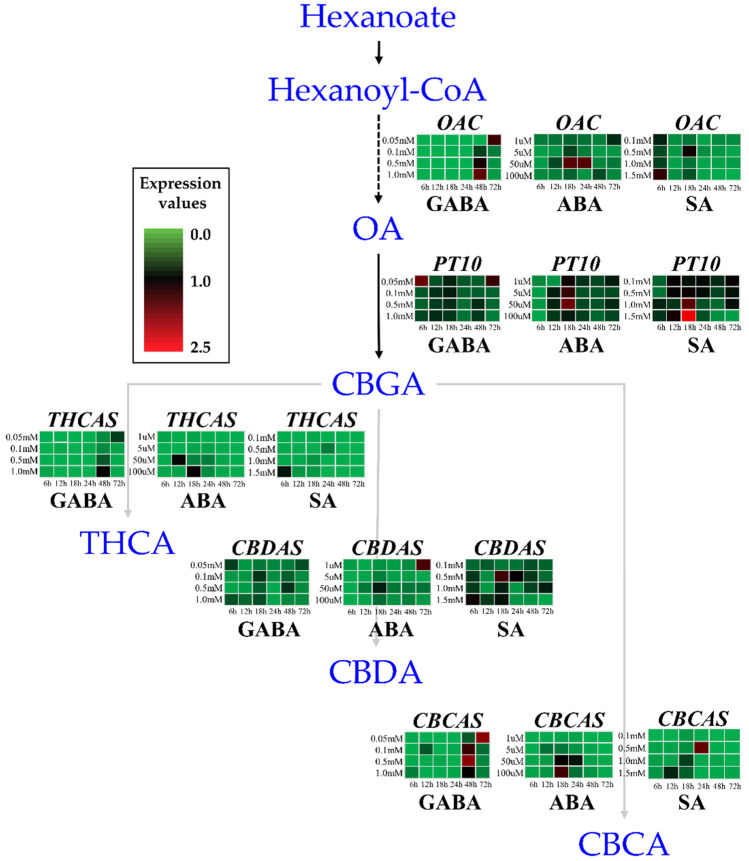PMC11989512 – ijms-26-03445-f001
