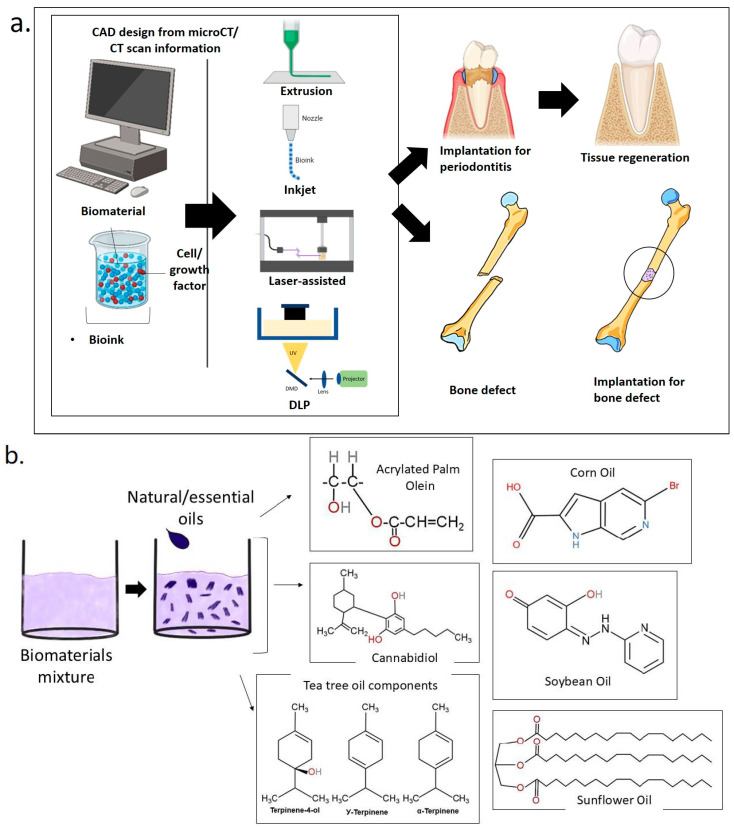 PMC12026678 – ijms-26-03510-f002