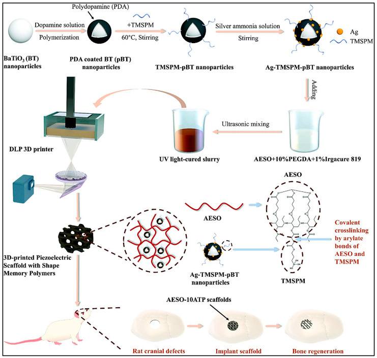PMC12026678 – ijms-26-03510-f003