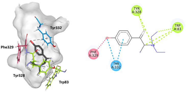 PMC12027149 – ijms-26-03540-f006