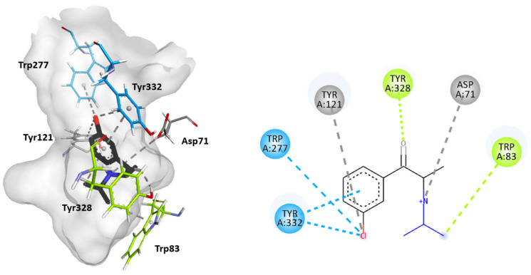 PMC12027149 – ijms-26-03540-f007
