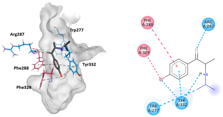 PMC12027149 – ijms-26-03540-f008