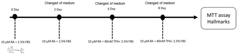 PMC12027149 – ijms-26-03540-f010