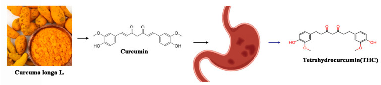 PMC12027286 – ijms-26-03561-f001