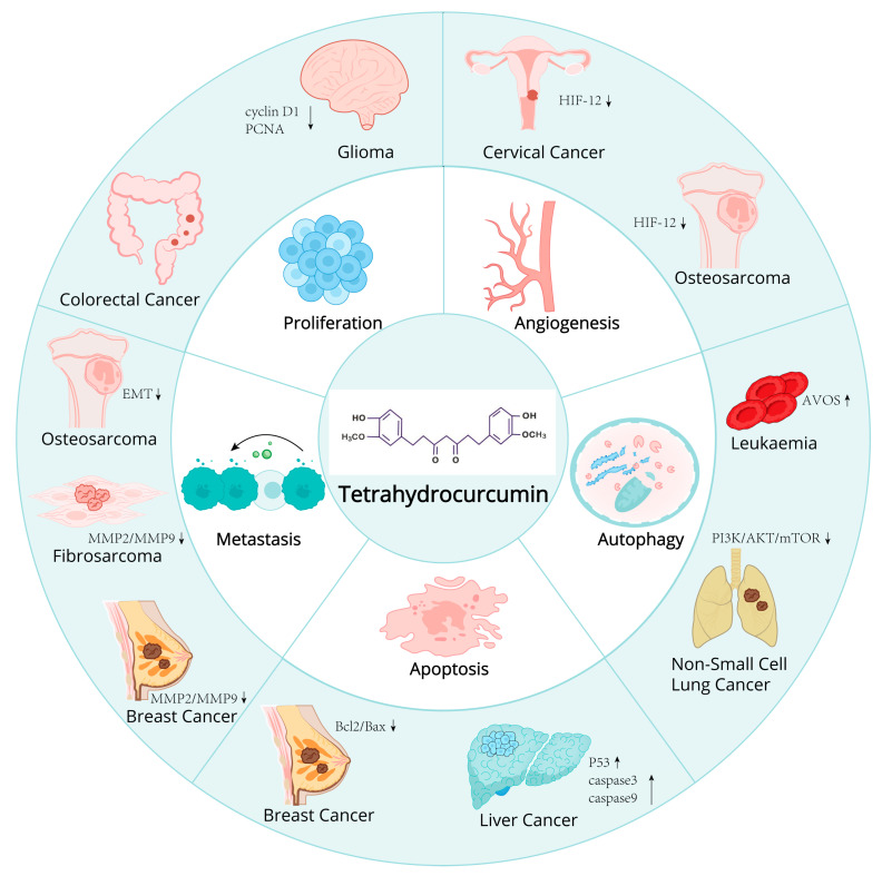 PMC12027286 – ijms-26-03561-f003