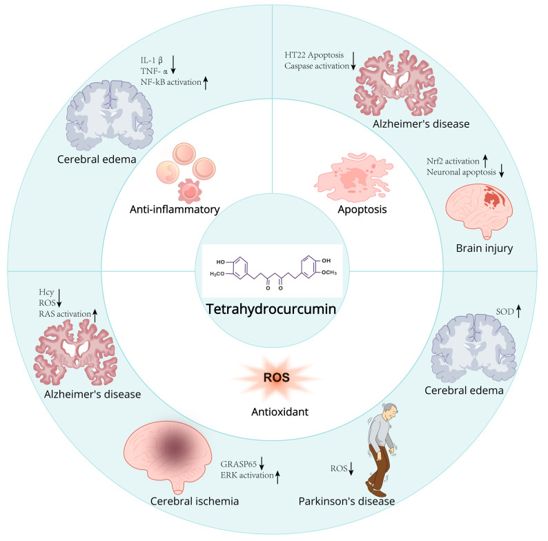 PMC12027286 – ijms-26-03561-f004