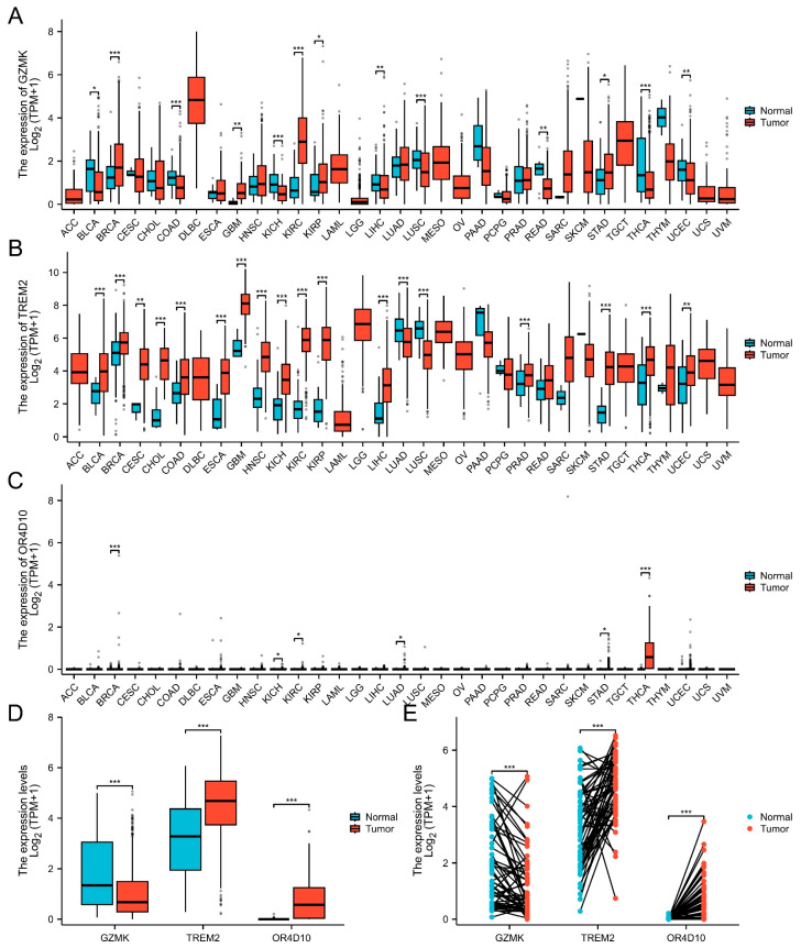 PMC12027860 – ijms-26-03887-f001