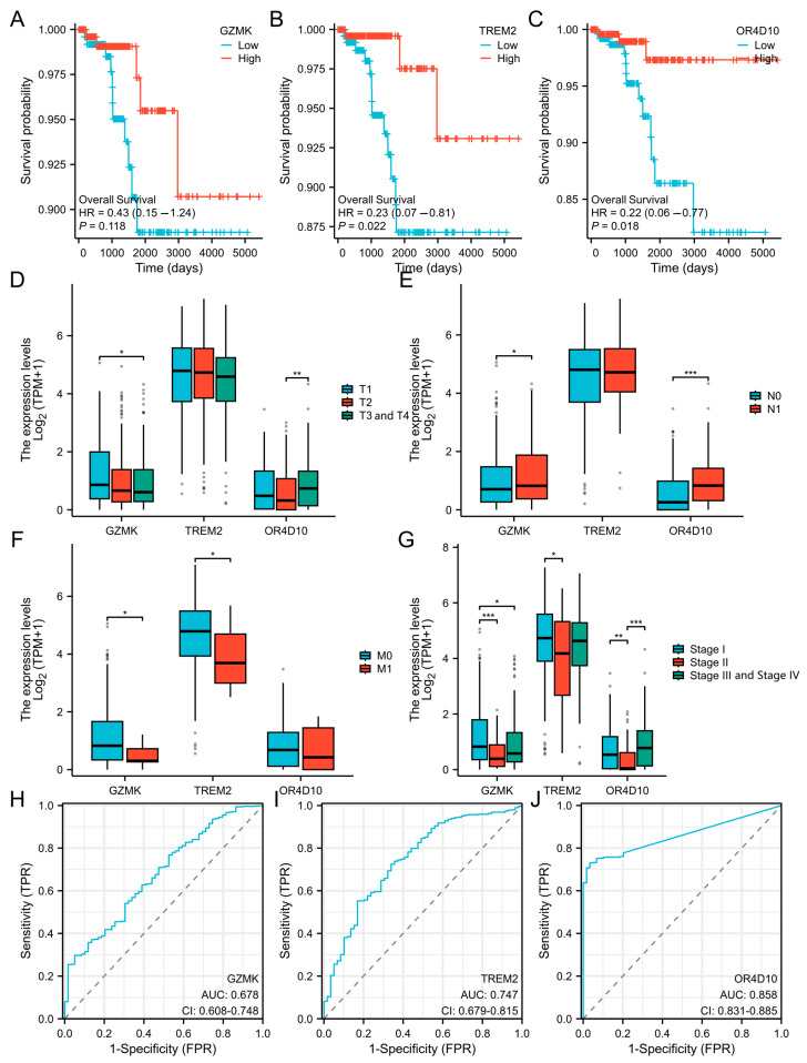 PMC12027860 – ijms-26-03887-f002