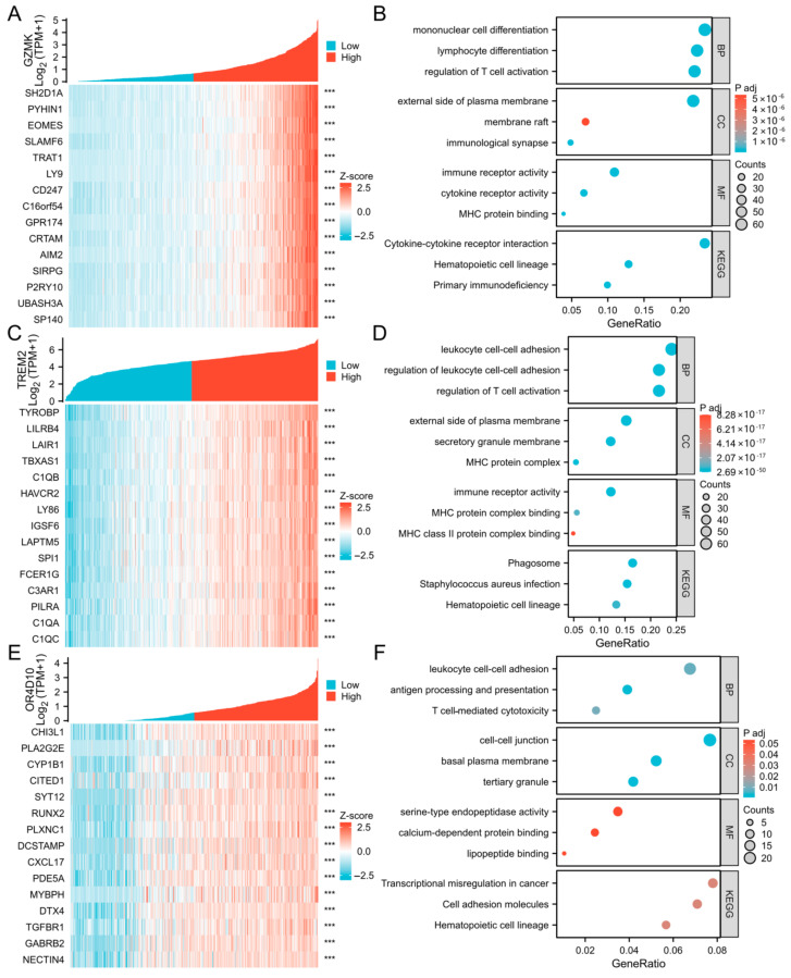 PMC12027860 – ijms-26-03887-f003