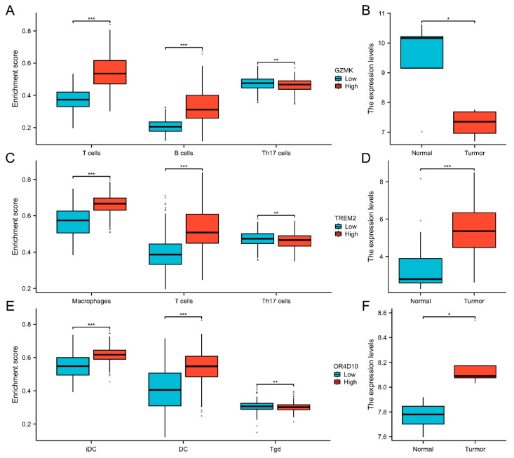 PMC12027860 – ijms-26-03887-f005