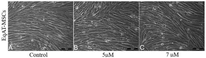 PMC12071624 – ijms-26-04208-f001