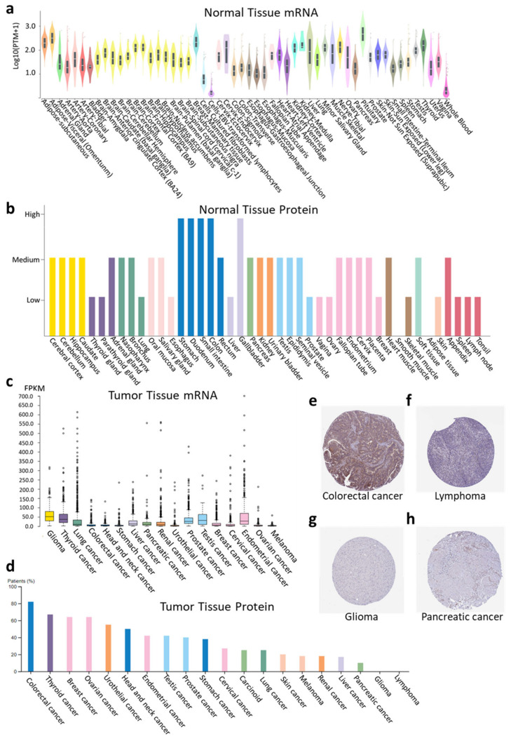 PMC12073092 – ijms-26-04419-f001