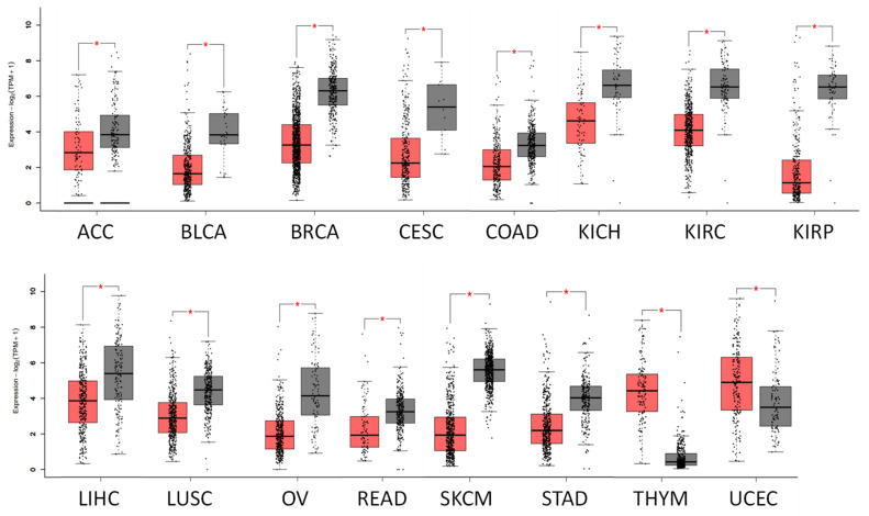 PMC12073092 – ijms-26-04419-f002