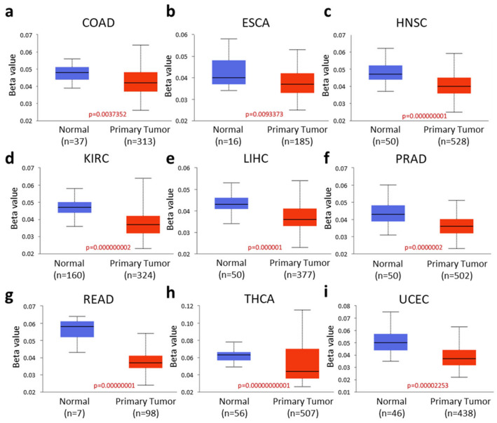 PMC12073092 – ijms-26-04419-f004
