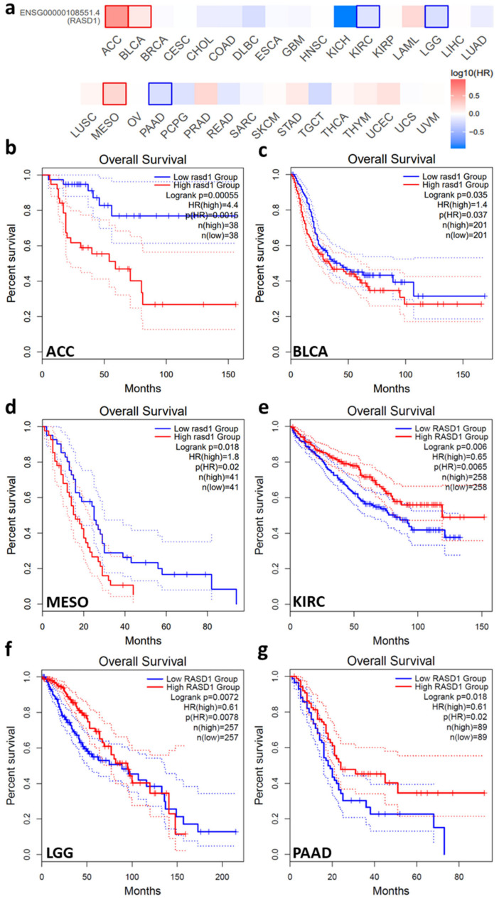 PMC12073092 – ijms-26-04419-f005