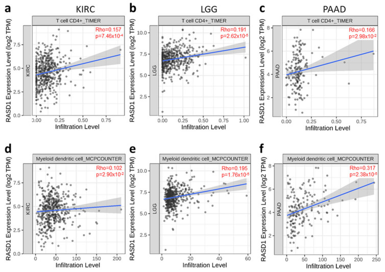 PMC12073092 – ijms-26-04419-f006