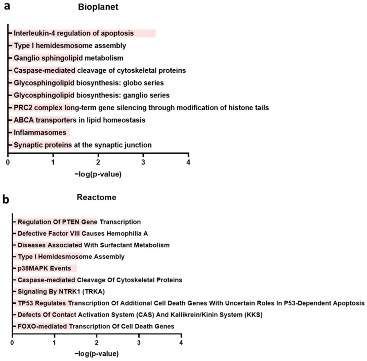 PMC12073092 – ijms-26-04419-f007