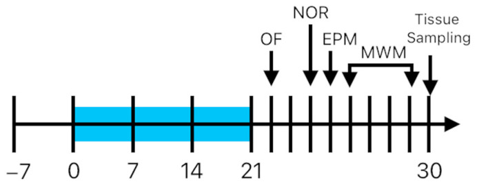 PMC12110952 – ijms-26-04491-f007