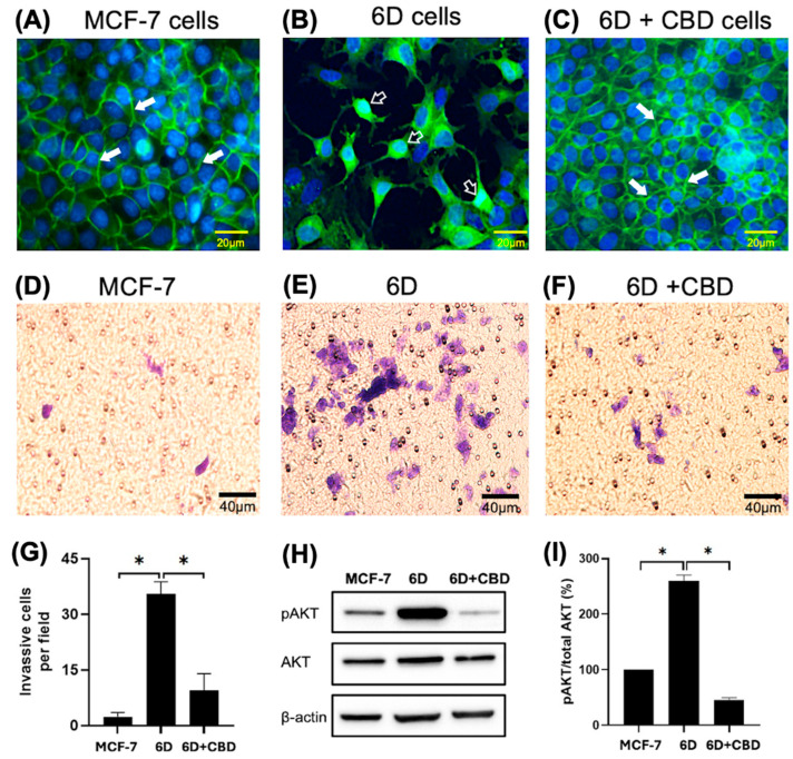 PMC12111826 – ijms-26-04721-f001