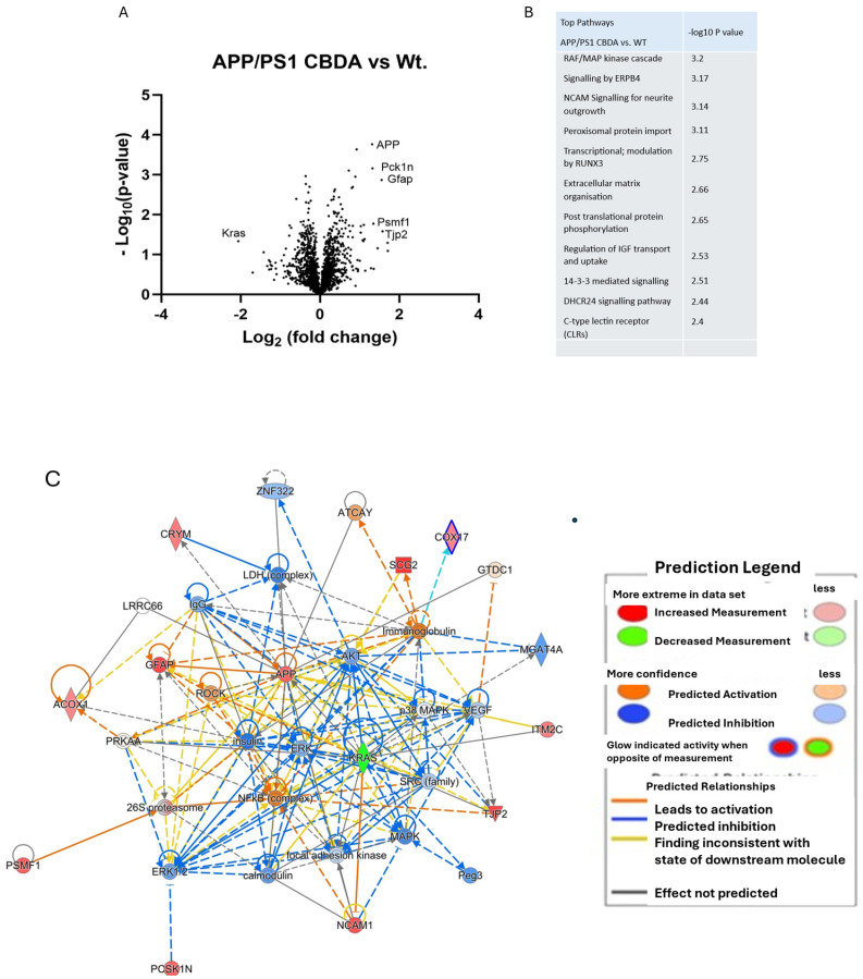 PMC12112199 – ijms-26-04944-f007
