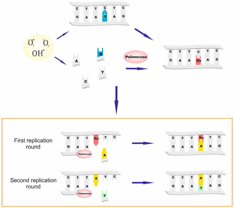 PMC12154510 – ijms-26-05137-f001