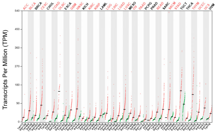 PMC12154510 – ijms-26-05137-f004