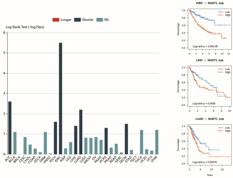 PMC12154510 – ijms-26-05137-f005