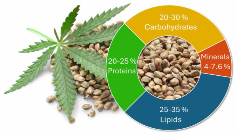 PMC12154244 – ijms-26-05219-f001