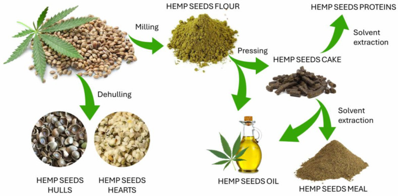 PMC12154244 – ijms-26-05219-f002