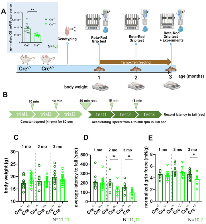 PMC12155153 – ijms-26-05291-f001