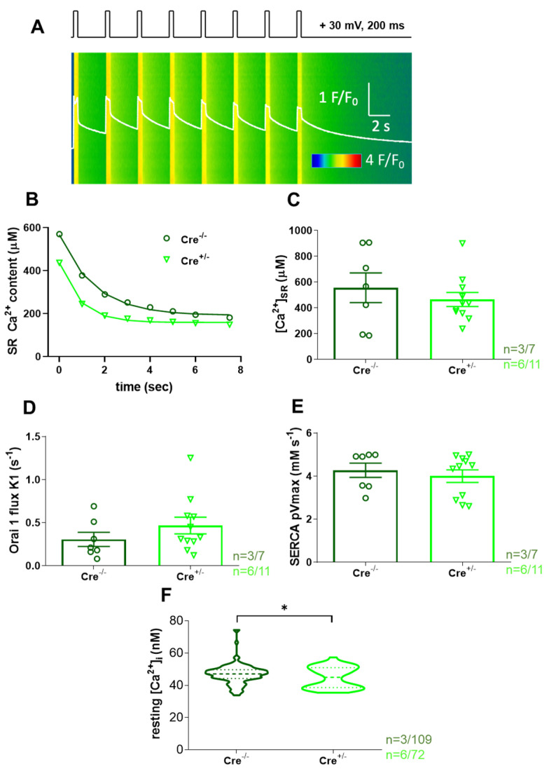 PMC12155153 – ijms-26-05291-f003