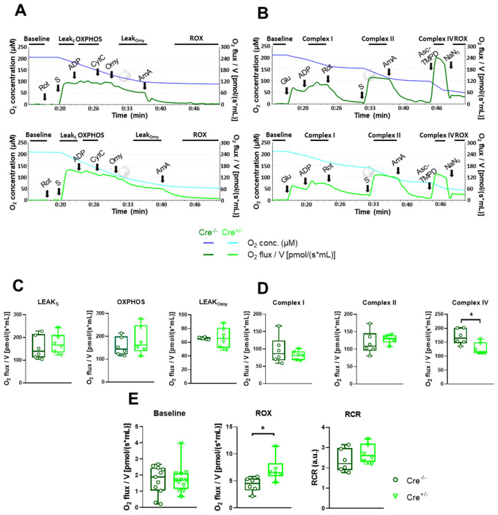 PMC12155153 – ijms-26-05291-f004