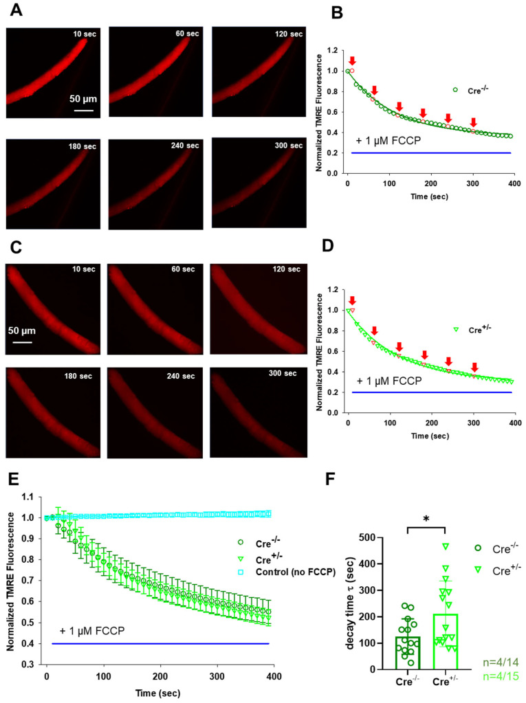 PMC12155153 – ijms-26-05291-f005