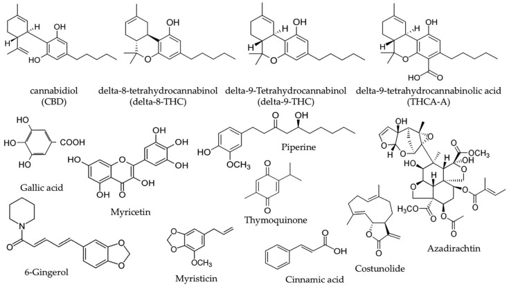 PMC12154420 – ijms-26-05388-f001