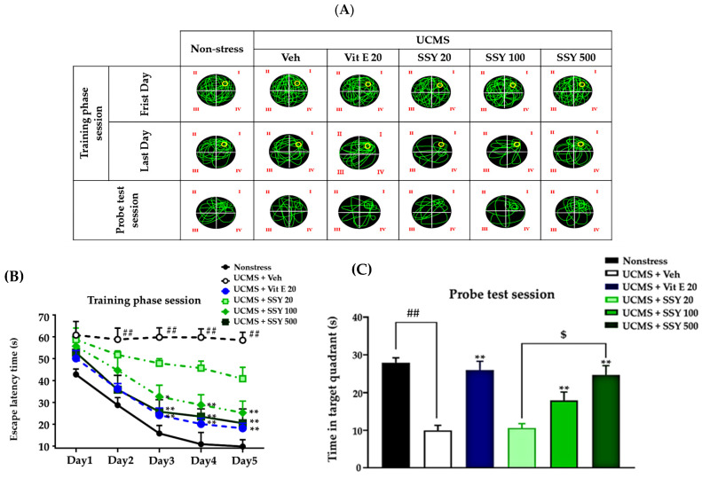 PMC12154420 – ijms-26-05388-f003
