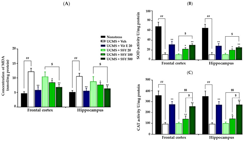 PMC12154420 – ijms-26-05388-f004