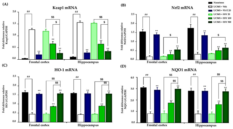 PMC12154420 – ijms-26-05388-f005