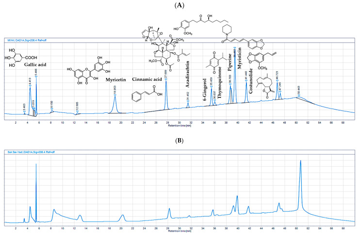 PMC12154420 – ijms-26-05388-f007