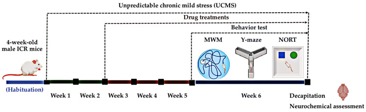 PMC12154420 – ijms-26-05388-f008