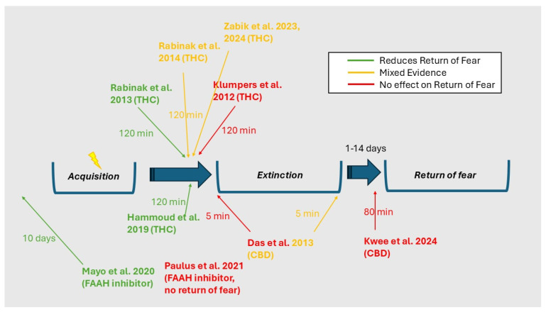 PMC12192862 – ijms-26-05527-f002