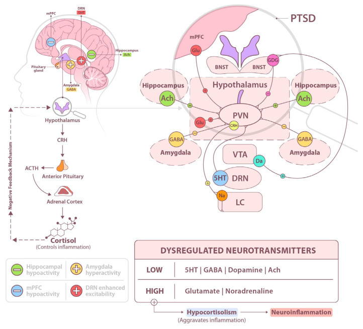 PMC12249340 – ijms-26-05929-f001