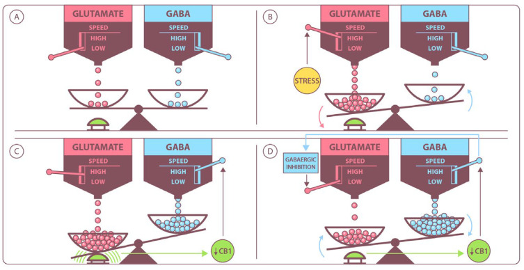 PMC12249340 – ijms-26-05929-f003