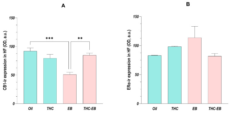 PMC12249681 – ijms-26-06144-f005