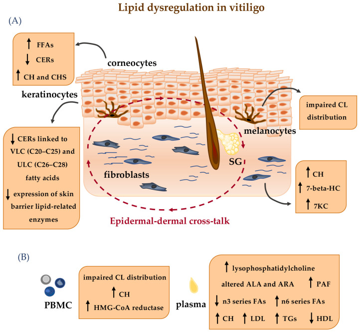 PMC12295737 – ijms-26-06785-f002