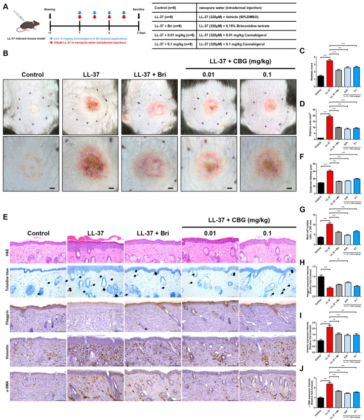 PMC12295932 – ijms-26-06840-f001