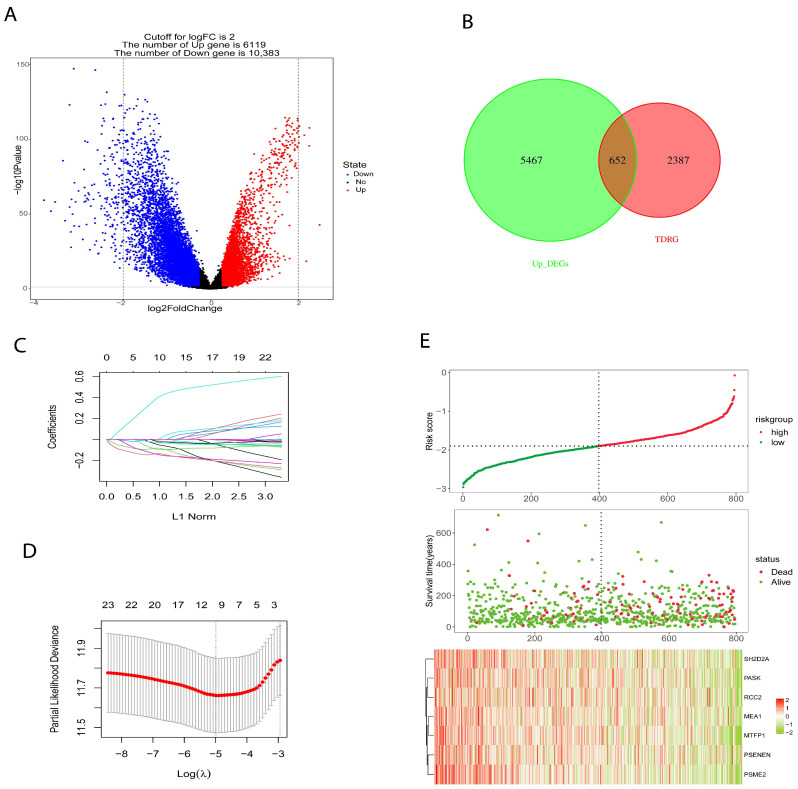 PMC12295015 – ijms-26-06995-f003