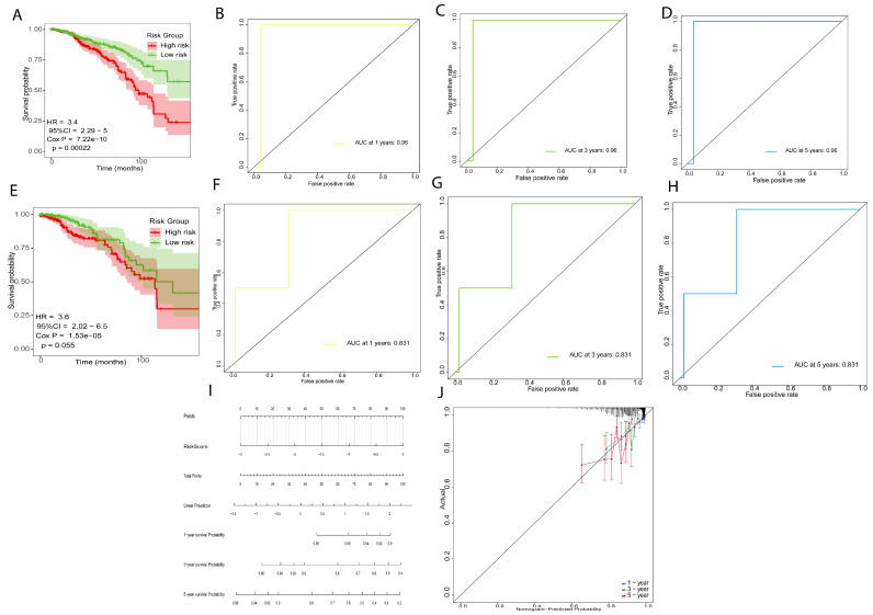 PMC12295015 – ijms-26-06995-f004